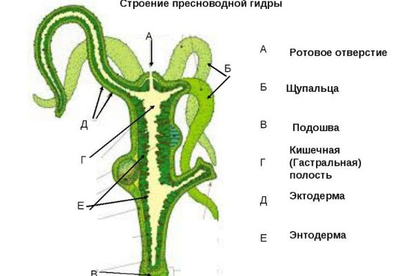 Не могу зайти в аккаунт кракен