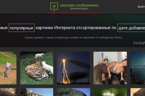 Ссылка на кракен тг