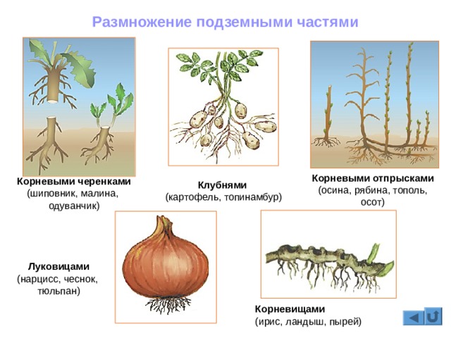 Нарко сайт кракен